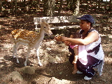 Kayla and Mommy feed a deer