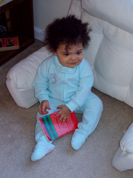 Frizzy Girl with a Book