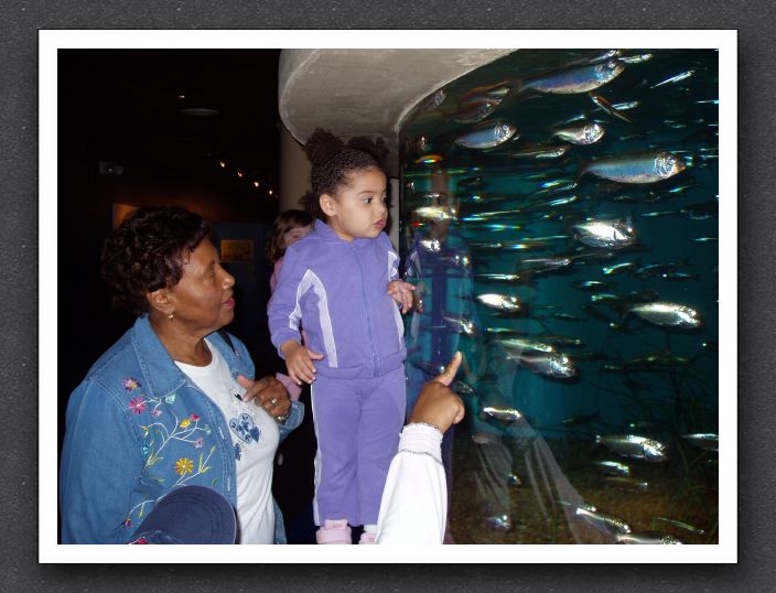 Grandma shows Kayla the shiny fish