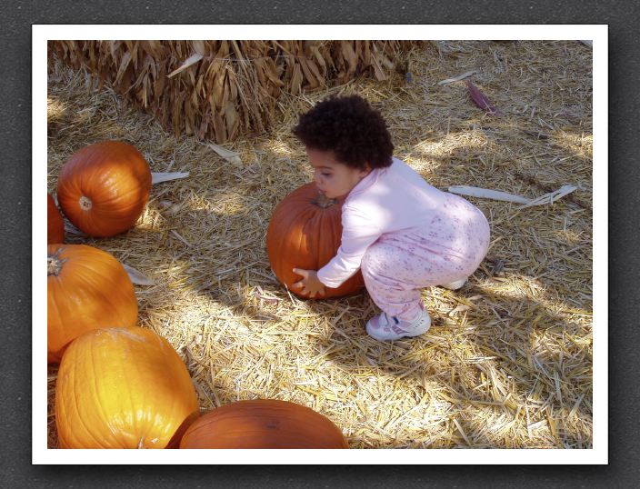 Kayla seeks The Great Pumpkin