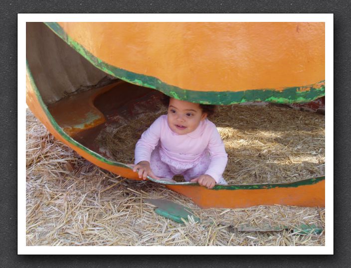 Little girl, big pumpkin