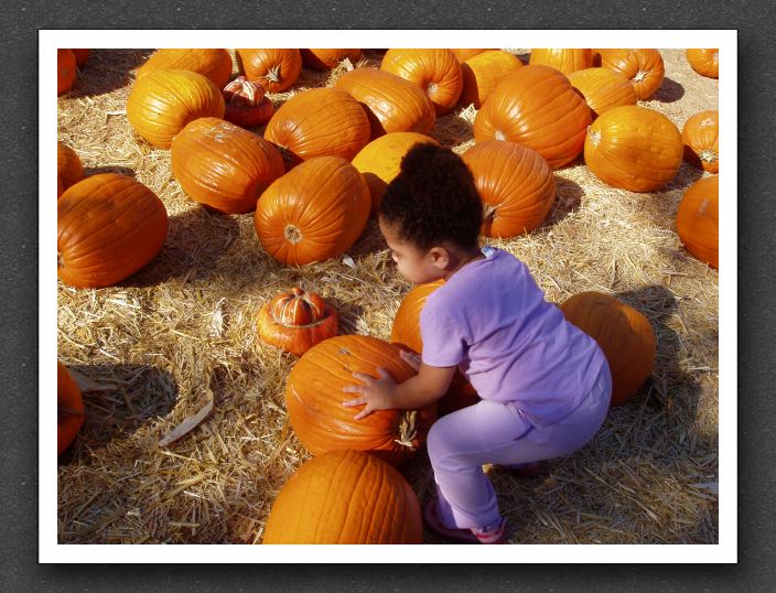 Kayla in the pumpkin patch