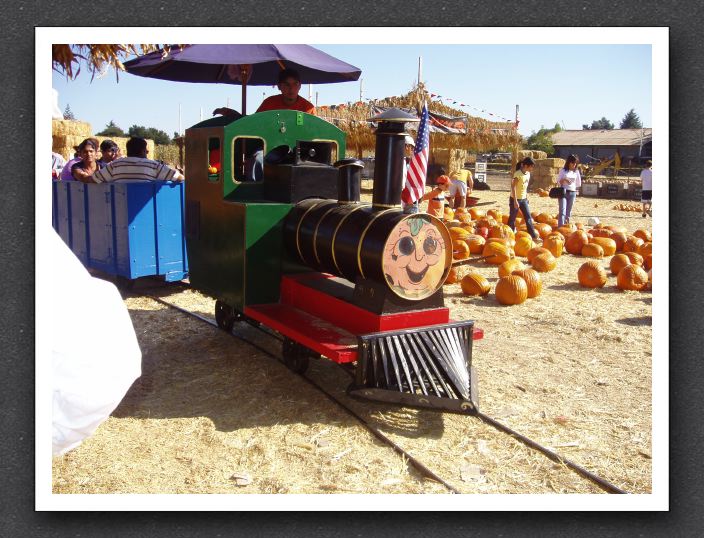 Pumpkin train