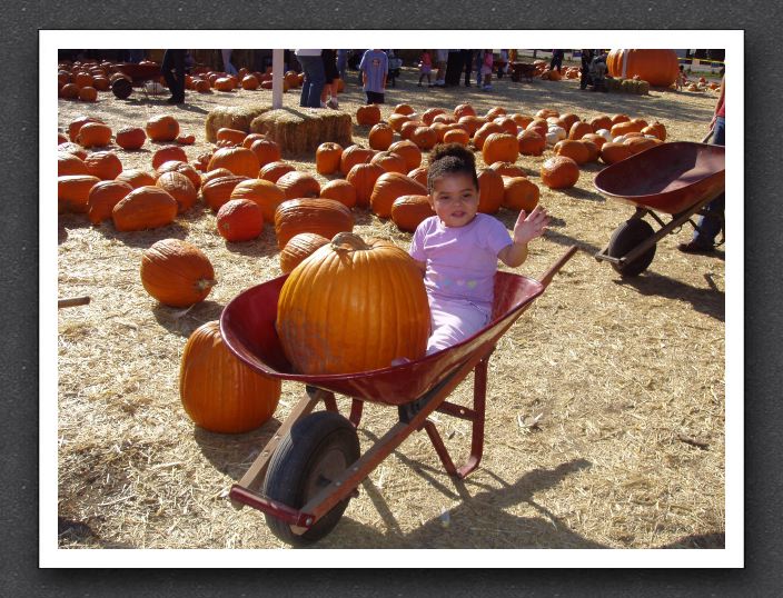 Kayla could fit inside this pumpkin