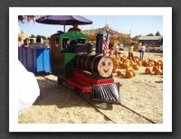 Pumpkin train